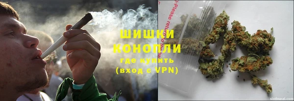 прущие грибы Балахна