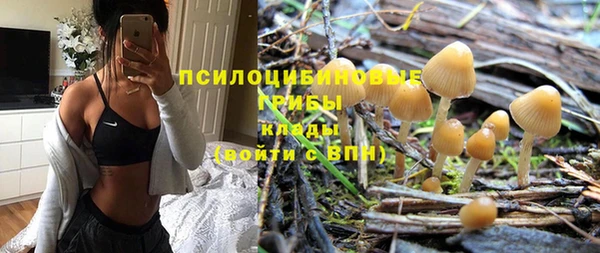 прущие грибы Балахна