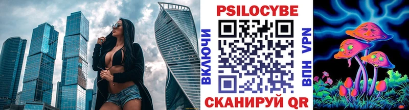 Купить Северская Псилоцибиновые грибы мицелий